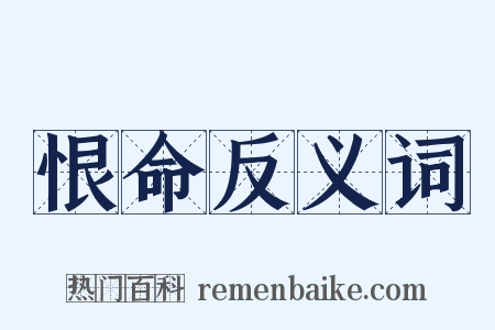 恨命反义词是什么意思的图片
